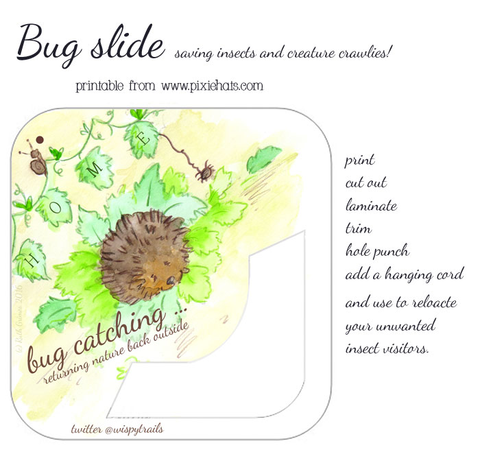 Hedgehog bunting themed insect bug slide printable